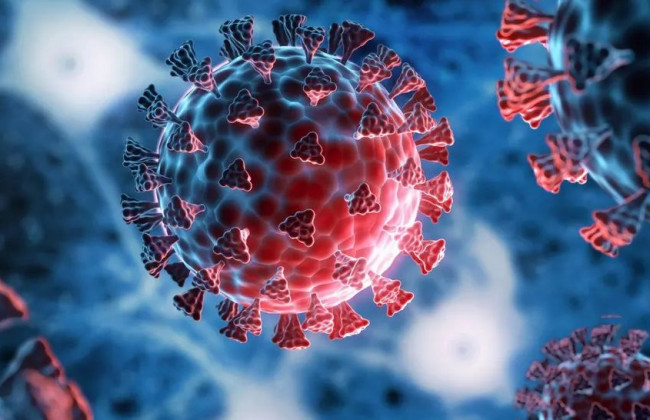 В ВОЗ сообщили, насколько опасен штамм «Омикрон»
