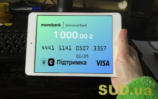 «Вовина тысяча»: на что ее тратят украинцы