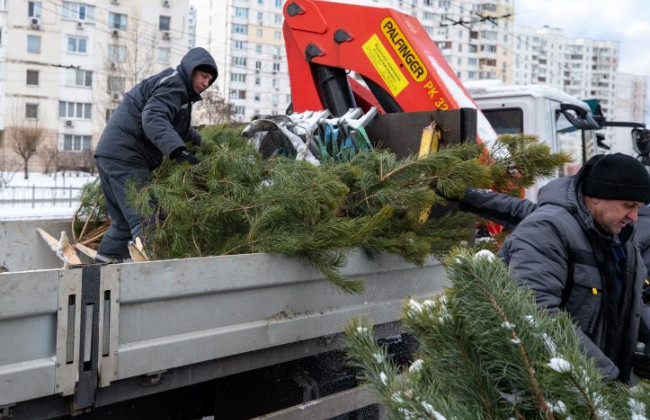 У Києві масово виявляють незаконні ялинкові базари: розпочались демонтажі