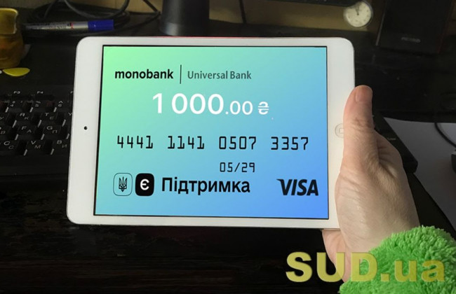 «Вовина тысяча»: на что ее тратят украинцы