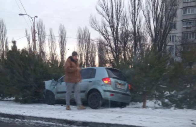 Курьезное ДТП под Киевом: легковушка влетела в елки, фото