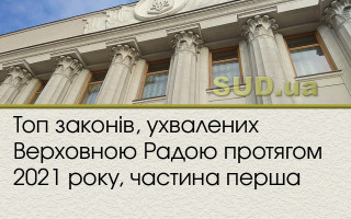 Топ законів, ухвалених Верховною Радою протягом 2021 року, частина перша