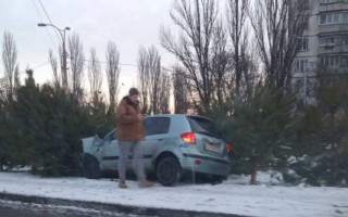 Курьезное ДТП под Киевом: легковушка влетела в елки, фото