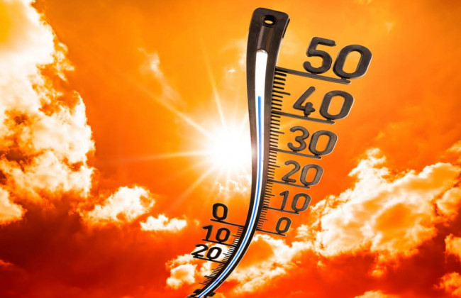 Глобальное потепление: 2022 год станет одним из самых жарких в истории