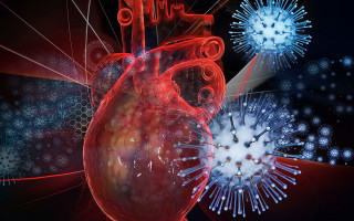 Стало известно, через сколько зараженный умирает от коронавируса