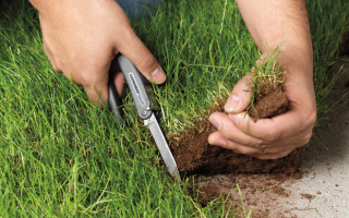 Київській громаді повернули землю у Голосіївському районі вартістю 35 млн гривень