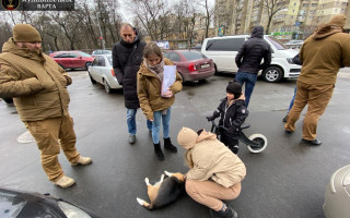В Киеве из-за собаки остановили движение авто на оживленной дороге
