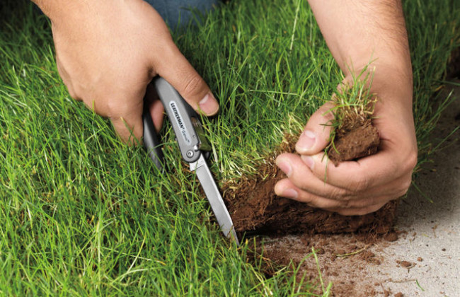 Київській громаді повернули землю у Голосіївському районі вартістю 35 млн гривень