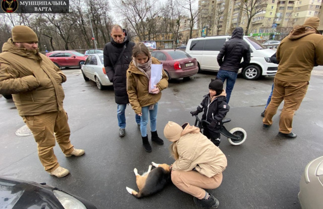 В Киеве из-за собаки остановили движение авто на оживленной дороге