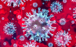 Обнаружен «подпольный» путь распространения коронавируса