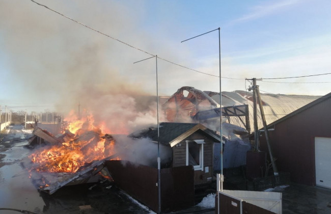 Під Києвом горить пилорама: площа пожежі досягла 1 тисячі метрів