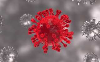 Является ли «Омикрон» последним штаммом коронавируса: ответ медика