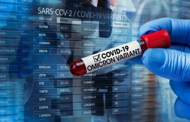 Стало известно, как усилить защиту организма от штамма «Омикрон» в десятки раз