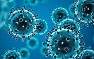 Скоро «ударит»: появился тревожный прогноз о распространении штамма «Омикрон»