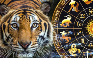 Какие знаки Зодиака ждет невероятный успех в год Тигра