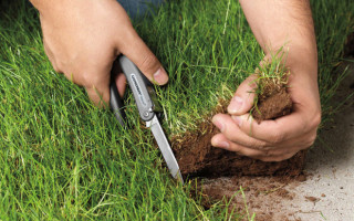 Київській громаді повернули земельну ділянку біля станції метро «Дарниця»