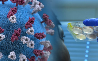 Врач предупредил о риске смерти спустя месяцы после коронавируса