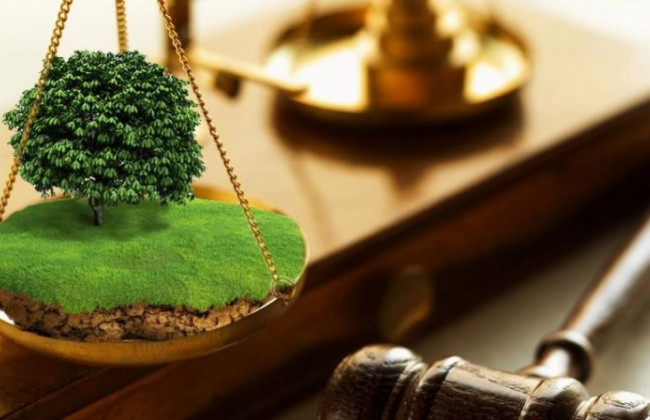 Сільрада відмовлялася затвердити проекти землеустрою для ведення особистого селянського господарства: що вирішив Верховний Суд