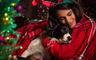 Новогодний фейерверк: как защитить животных от стресса