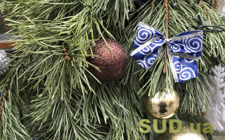 Где в Киеве можно будет сдать елку на утилизацию