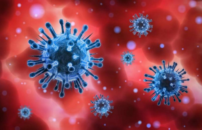 Стало известно, сколько времени коронавирус может жить в организме