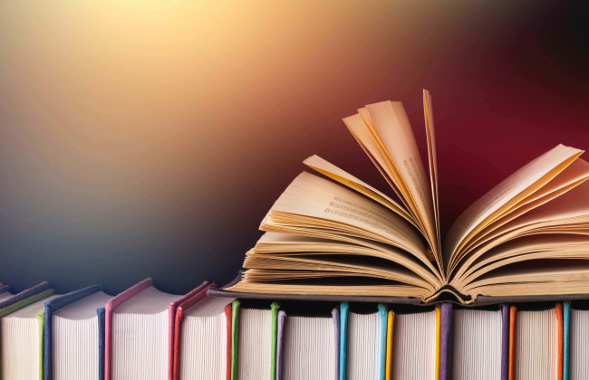 В Україну намагались завезти п’ять книг, які містять ознаки пропаганди держави-агресора