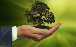 4 млн гривень за забруднення повітря: підприємство під Сумами відшкодує збитки державі