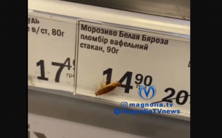 Изучал цены: в Киеве в магазине заметили таракана на холодильнике с продуктами, видео