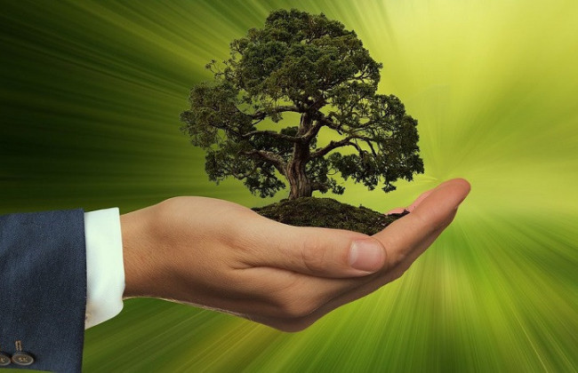 4 млн гривень за забруднення повітря: підприємство під Сумами відшкодує збитки державі