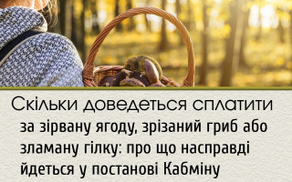 Скільки доведеться сплатити за зірвану ягоду, зрізаний гриб або зламану гілку: про що насправді йдеться у постанові Кабміну
