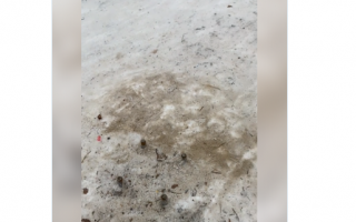 Торчат штыри: родителей Киева предупредили об опасности на горках