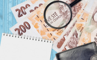 Чехия заморозит зарплаты чиновников ради медиков, военных и учителей