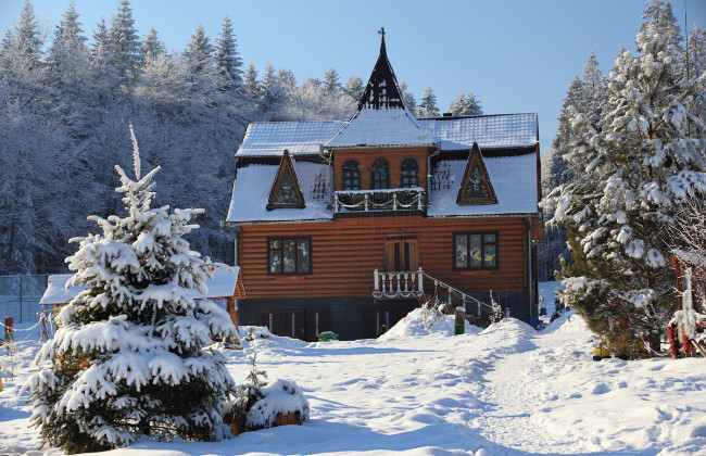 Варто відвідати під час новорічних свят: топ-5 оригінальних місць для зимового відпочинку в Україні