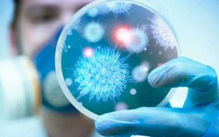 Ученые хотят создать пожизненную вакцину от коронавируса