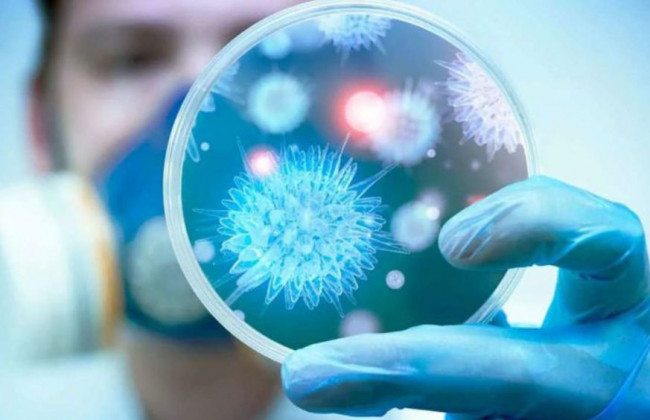 Ученые хотят создать пожизненную вакцину от коронавируса