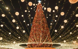 Праздничные салюты и концерты: как Украина и мир встретили Новый год