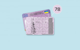 В Украине ввели новые водительские удостоверения: что делать со старыми