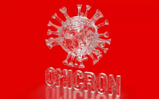 Стало известно, как штамм «Омикрон» поражает легкие