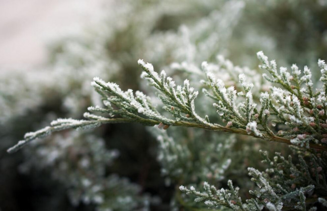 Приметы и праздники 2 января: что нельзя делать в этот день