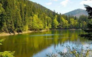 Зеленський підписав укази про створення нових природних парків