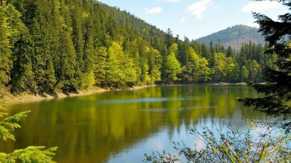 Зеленський підписав укази про створення нових природних парків
