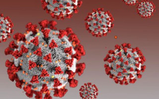 Обнаружены новые данные о COVID-19: может распространяться в организме в течение месяцев