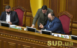 Стефанчук рассказал о планах работы Рады на 2022 год