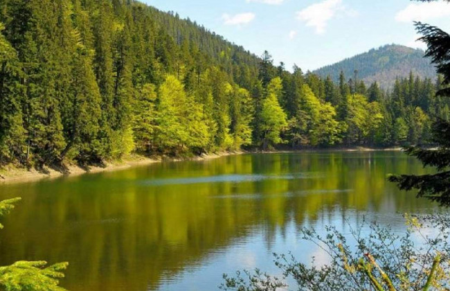 Зеленський підписав укази про створення нових природних парків