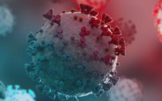 Ученые сообщили, что коронавирус негативно влияет на почки