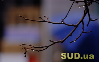 Год в столице начался с температурных рекордов: погода как в октябре