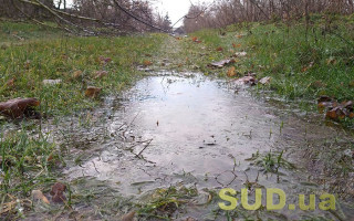 В реках повысился уровень воды: спасатели предупреждают об опасности