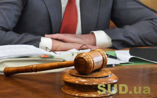 Свідок не має права на оскарження вироку в частині оцінки судом достовірності його показань — ВС