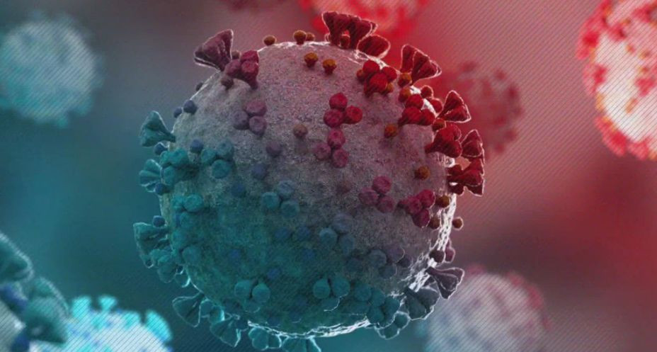 Ученые сообщили, что коронавирус негативно влияет на почки