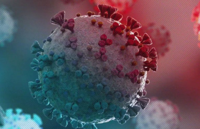 Ученые сообщили, что коронавирус негативно влияет на почки